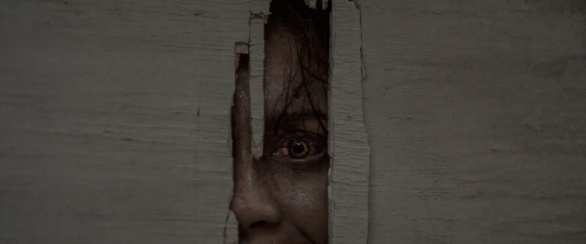Evil Dead Burn