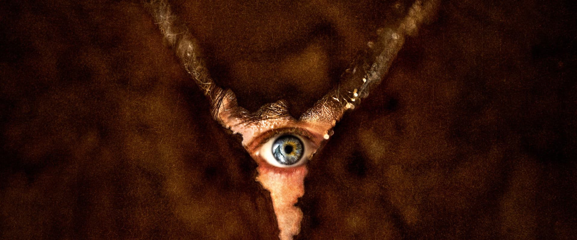 Return to Silent Hill