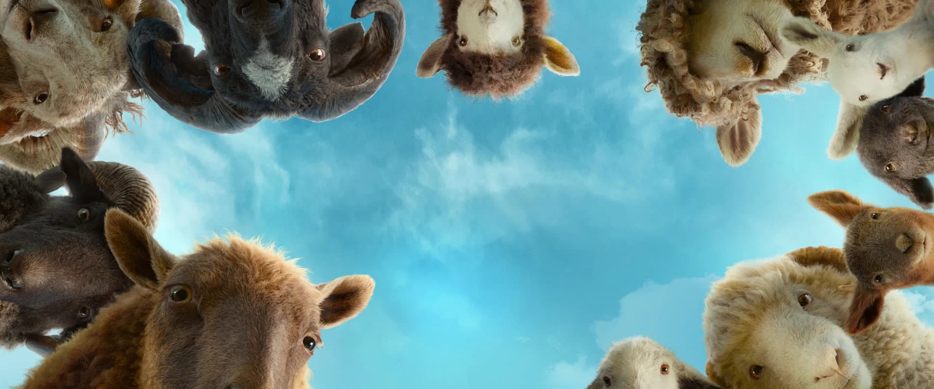 The Sheep Detectives