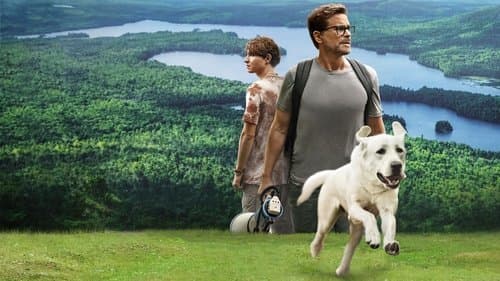 Dog Gone